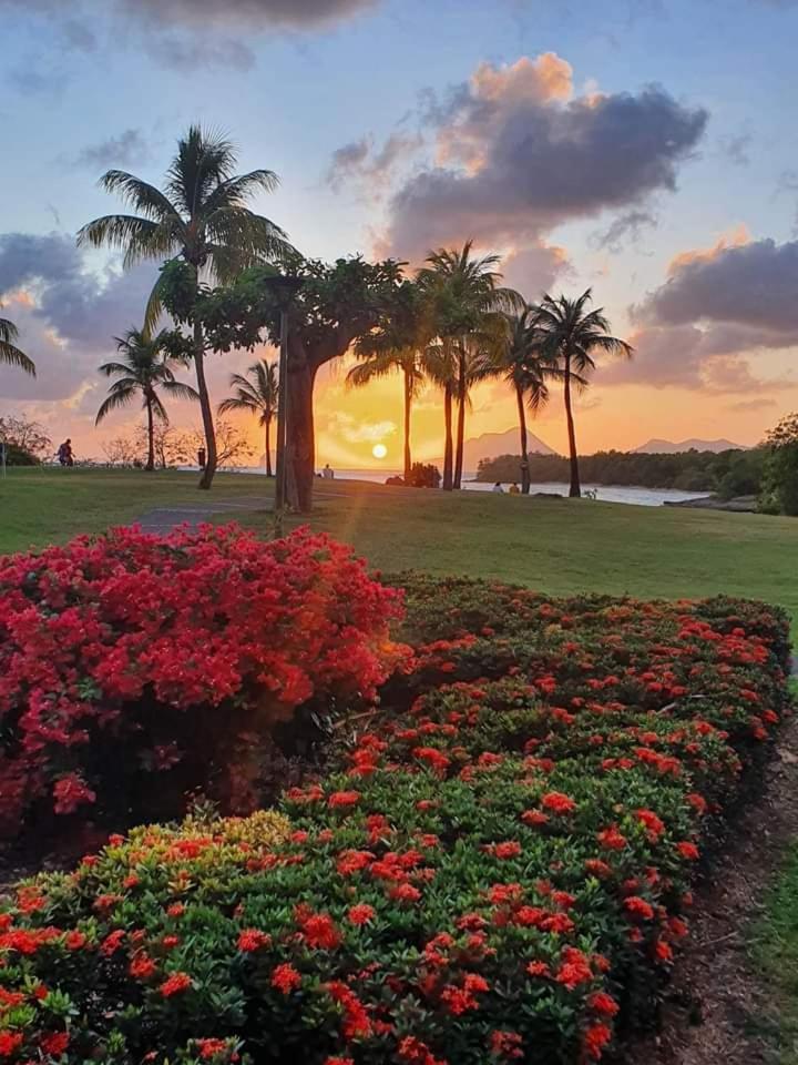 Le Madja'Kaz - Studio En Residence Et Bord De Mer - Sainte Luce Martinique Экстерьер фото